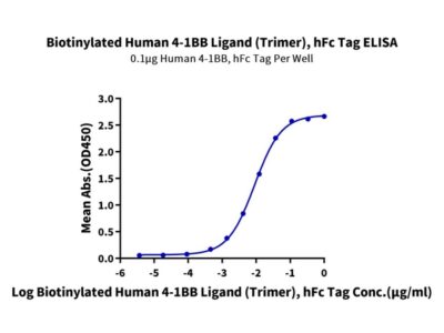 Biotinylated Human 4-1BB Ligand/TNFSF9 Trimer Protein (Primary Amine Labeling) , BBL-HM241B Ushelf