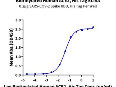 Biotinylated Human ACE2/ACEH Protein, ACE-HM401B Ushelf