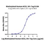 Biotinylated Human ACE2ACEH Protein (ACE-HM501B)