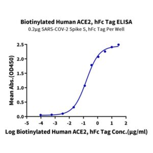 Biotinylated Human ACE2/ACEH Protein, ACE-HM501B Ushelf