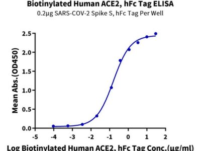 Biotinylated Human ACE2/ACEH Protein, ACE-HM501B Ushelf