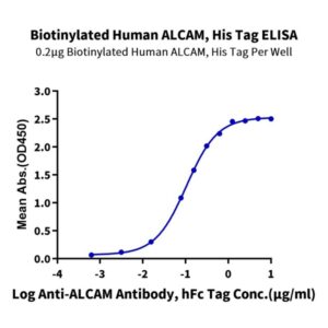 Biotinylated Human ALCAM/CD166 Protein , ALC-HM401B Ushelf