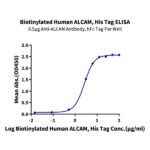 Biotinylated Human ALCAMCD166 Protein (Primary Amine Labeling) , ALC-HM101B