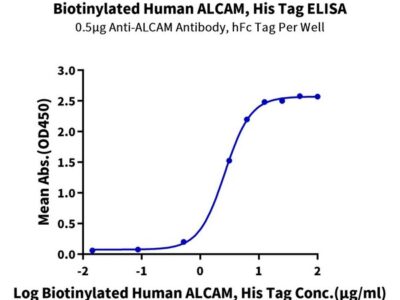 Biotinylated Human ALCAM/CD166 Protein (Primary Amine Labeling) , ALC-HM101B Ushelf