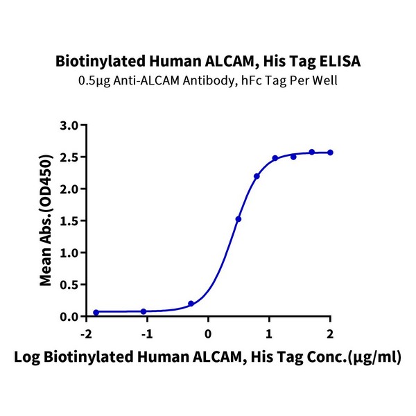 Biotinylated Human ALCAMCD166 Protein (Primary Amine Labeling) , ALC-HM101B Biotinylated Human ALCAM/CD166 Protein (Primary Amine Labeling) , ALC-HM101B Ushelf
