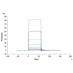 Biotinylated Human ANGPT2/Angiopoietin-2 Protein , APN-HM401B Ushelf