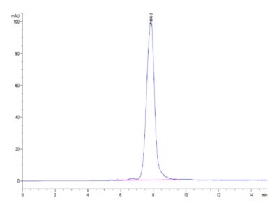 Biotinylated Human ANGPTL2/Angiopoietin-like 2 Protein , ANG-HM4L2B Ushelf