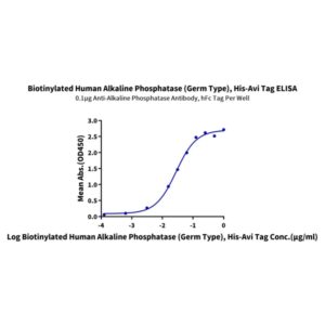 Biotinylated Human Alkaline Phosphatase (Germ type) /ALPG Protein , APE-HM403B Ushelf