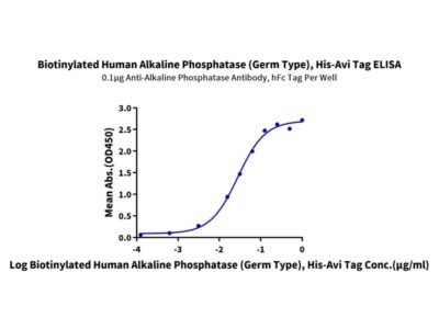 Biotinylated Human Alkaline Phosphatase (Germ type) /ALPG Protein , APE-HM403B Ushelf