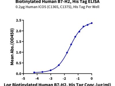 Biotinylated Human B7-H2/ICOSLG Protein , BH7-HM472B Ushelf