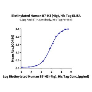 Biotinylated Human B7-H3 (4Ig) /B7-H3b Protein , BH7-HM43BB Ushelf