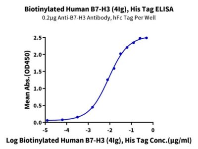Biotinylated Human B7-H3 (4Ig) /B7-H3b Protein , BH7-HM43BB Ushelf