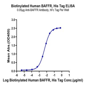 Biotinylated Human BAFFR/TNFRSF13C Protein , BAF-HM40RB