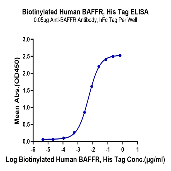 Biotinylated Human BAFFRTNFRSF13C Protein , BAF-HM40RB Biotinylated Human BAFFR/TNFRSF13C Protein , BAF-HM40RB