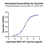 Biotinylated Human BCMATNFRSF17 Protein , BCM-HM117B