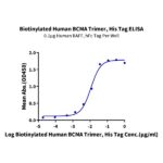 Biotinylated Human BCMATNFRSF17 Trimer Protein , BCM-HM417B