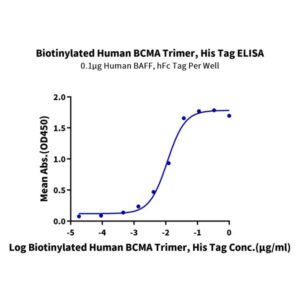 Biotinylated Human BCMA/TNFRSF17 Trimer Protein , BCM-HM417B Ushelf