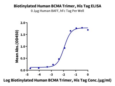 Biotinylated Human BCMA/TNFRSF17 Trimer Protein , BCM-HM417B Ushelf