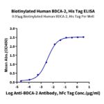 Biotinylated Human BDCA-2 Protein , BCA-HM402B