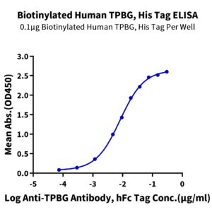 Biotinylated Human TPBG/5T4 Protein, 5T4-HM401B Ushelf