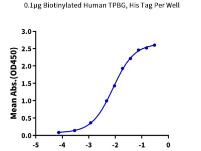 Biotinylated Human TPBG/5T4 Protein, 5T4-HM401B Ushelf