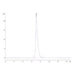 Biotinylated Mouse ALCAMCD166 Protein , ALC-MM401B