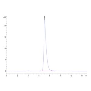 Biotinylated Mouse ALCAM/CD166 Protein , ALC-MM401B Ushelf