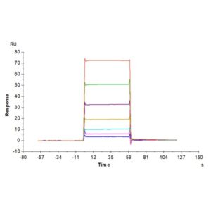 Biotinylated Mouse BCMA/TNFRSF17 Protein , BCM-MM417B Ushelf
