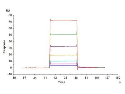 Biotinylated Mouse BCMA/TNFRSF17 Protein , BCM-MM417B Ushelf