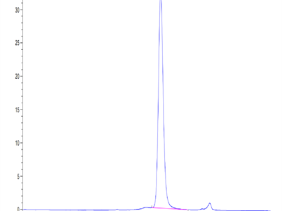 Human CYTL1/C17 Protein (C17-HM217)