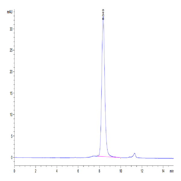Human CYTL1/C17 Protein (C17-HM217) Human CYTL1/C17 Protein (C17-HM217)