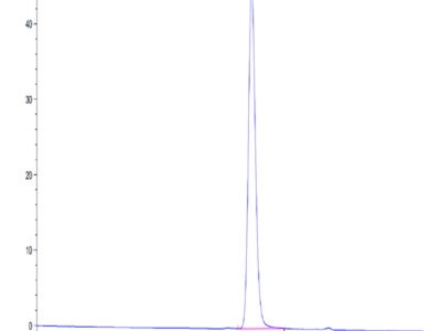 Mouse CYTL1/C17 Protein (C17-MM217)