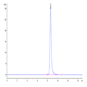 Cynomolgus CA9/Carbonic Anhydrase IX Protein (CA9-CM101)