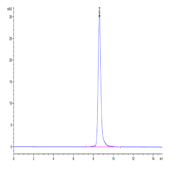 Cynomolgus CA9/Carbonic Anhydrase IX Protein (CA9-CM101)