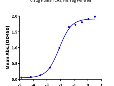 Human CA9/Carbonic Anhydrase IX Protein (CA9-HM401)