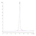 Human CA9/Carbonic Anhydrase IX Protein (CA9-HM401)