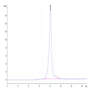 Human CA9/Carbonic Anhydrase IX Protein (CA9-HM401)