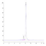 Mouse CA9/Carbonic Anhydrase IX Protein (CA9-MM101)