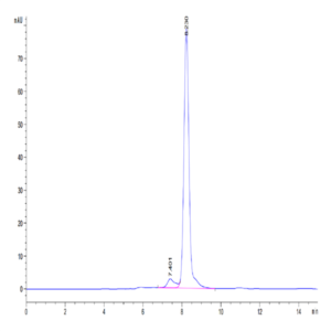 Mouse CA9/Carbonic Anhydrase IX Protein (CA9-MM101)