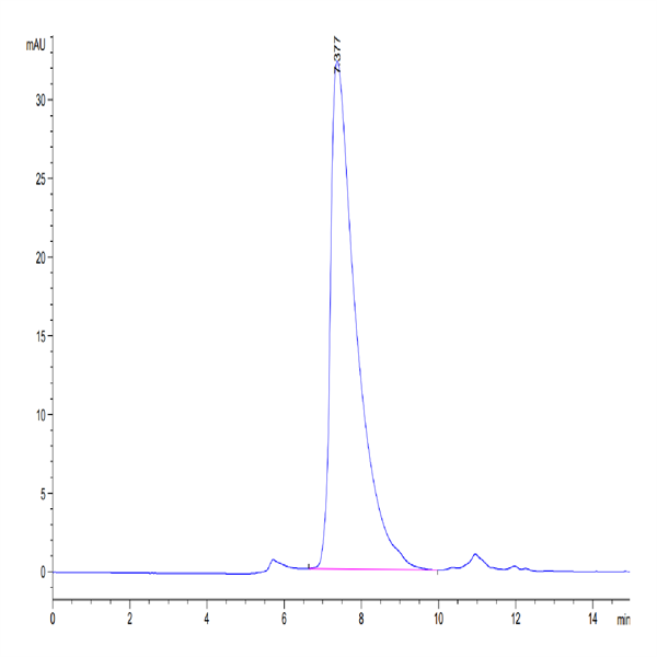 Human CADM1/IGSF4A Protein (CAD-HM101)