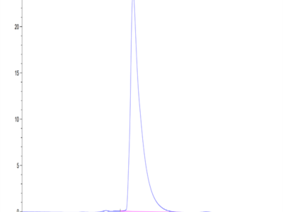 Mouse CADM1/IGSF4A Protein (CAD-MM101)