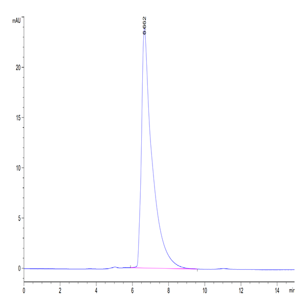 Mouse CADM1/IGSF4A Protein (CAD-MM101)