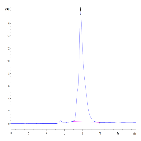 Human CALCA/CGRP Protein (CAL-HM201)