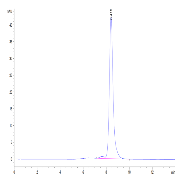 Mouse CALCA/CGRP Protein (CAL-MM201) Mouse CALCA/CGRP Protein (CAL-MM201)