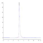 Cynomolgus CEACAM-5/CD66e Protein (CAM-CM105)