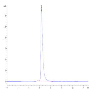 Cynomolgus CEACAM-5/CD66e Protein (CAM-CM105)