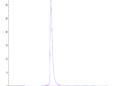 Cynomolgus CEACAM-5/CD66e Protein (CAM-CM105)