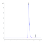 Cynomolgus CEACAM-6/CD66c Protein (CAM-CM106)