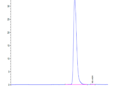 Cynomolgus CEACAM-6/CD66c Protein (CAM-CM106)