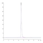 Cynomolgus NCAM-1/CD56 Protein (CAM-CM156)